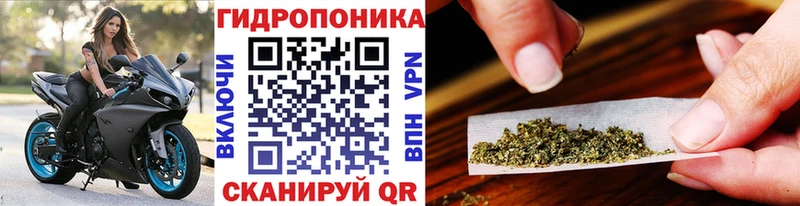Наркошоп купить СК  Амфетамин  Мефедрон  ГАШИШ  КОКАИН  Новая Усмань