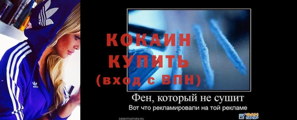 ALPHA PVP Ельня