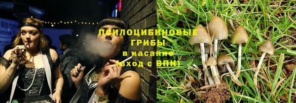 2c-b Дмитриев