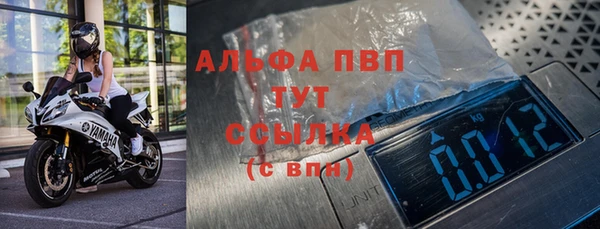крисы Чердынь